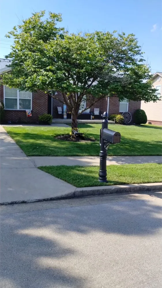 Expert landscape design in Lexington, KY by Contreras Landscaping