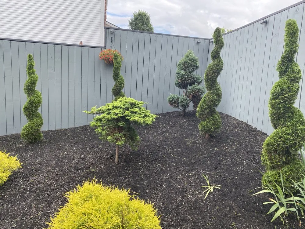 Affordable yard maintenance near you in Lexington, KY by Contreras Landscaping