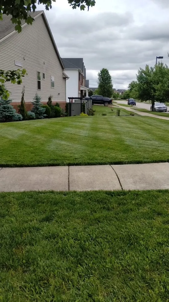 Expert outdoor landscaping in Lexington, KY - Contreras Landscaping