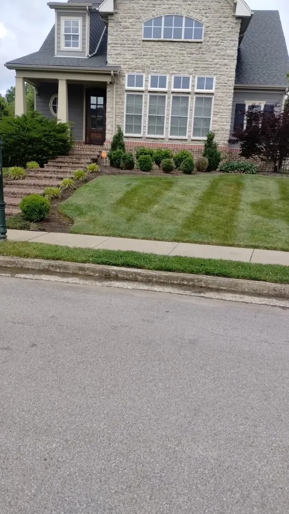 Expert yard maintenance experts serving Lexington, KY - Contreras Landscaping