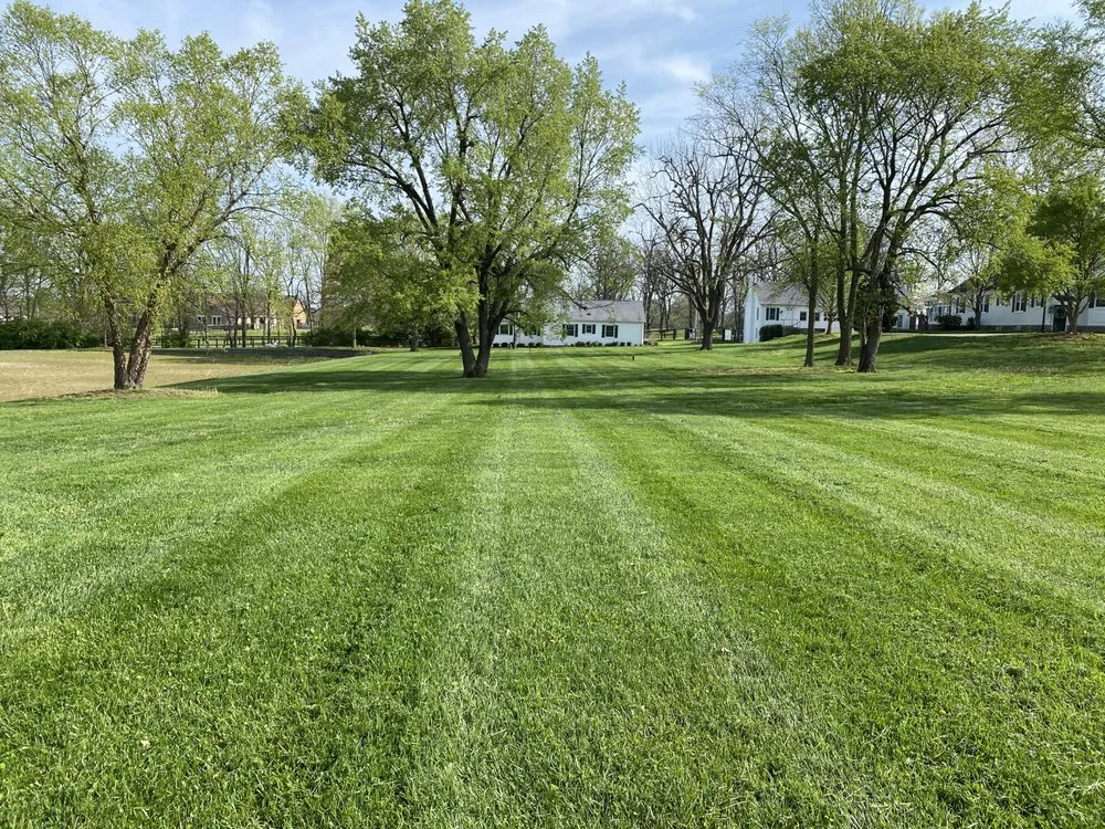 Trusted outdoor landscaping in Lexington, KY - Contreras Landscaping