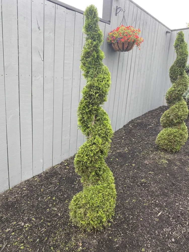 Expert lawn care service for year-round maintenance in Lexington, KY by Contreras Landscaping