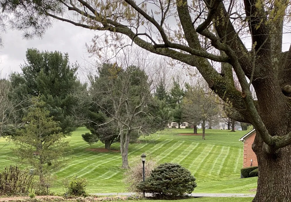 Top-rated lawn care service for beautiful yards across Lexington, KY - Contreras Landscaping