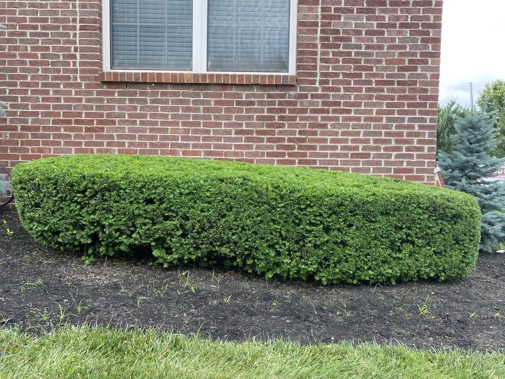 Professional lawn care service in Lexington, KY - Contreras Landscaping