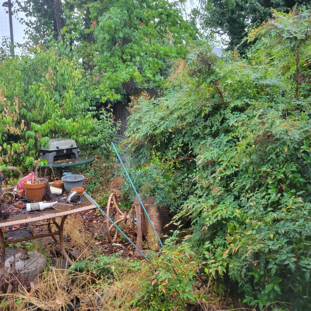 Custom garden landscaping for homes in Manteca, CA by Contreras Landscaping