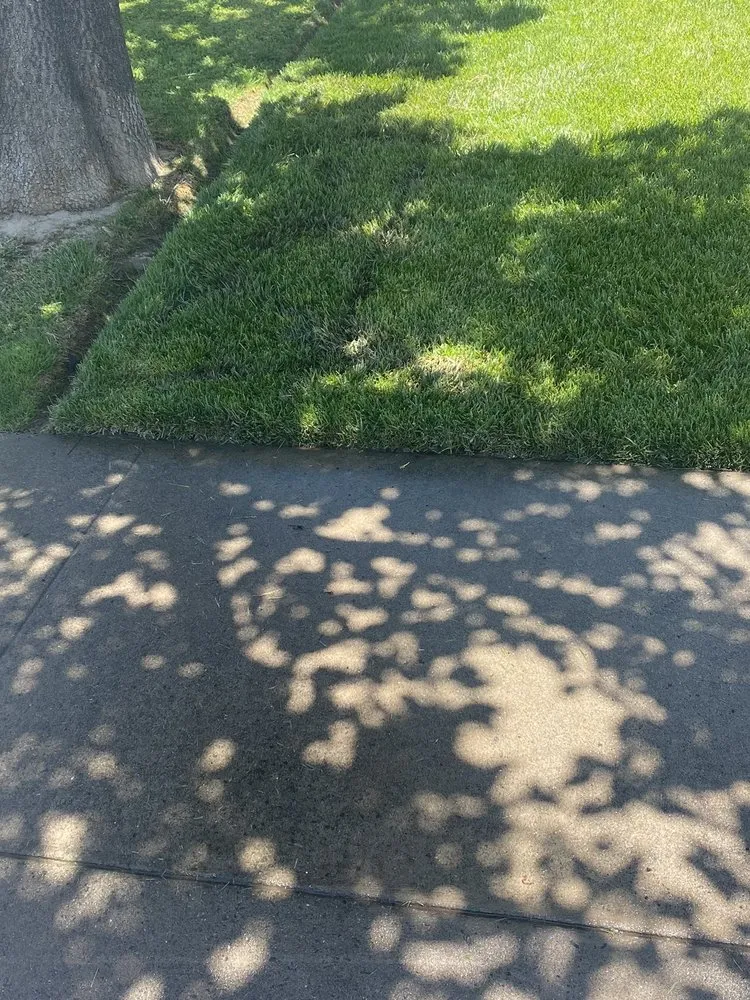 Top-rated residential landscaping in Manteca, CA by Contreras Landscaping