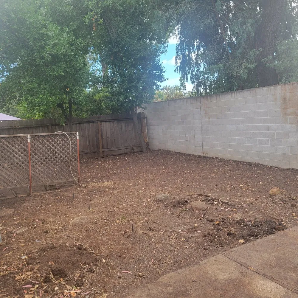 Top-rated yard cleanup service near you in Manteca, CA by Contreras Landscaping