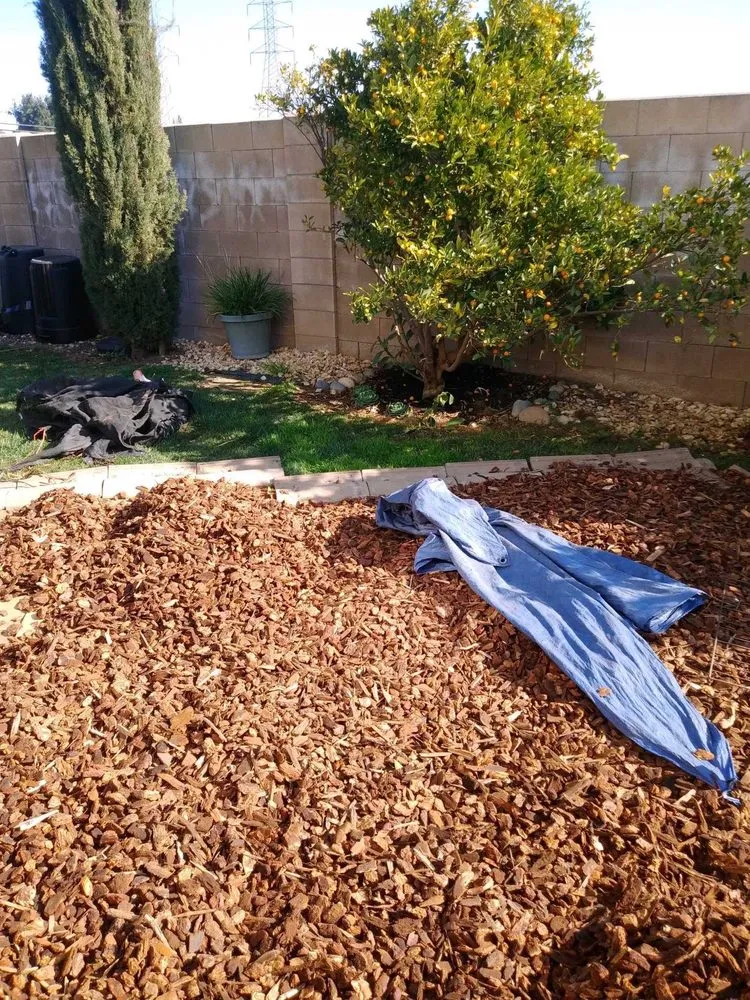Reliable landscaping services for homes across Manteca, CA - Contreras Landscaping