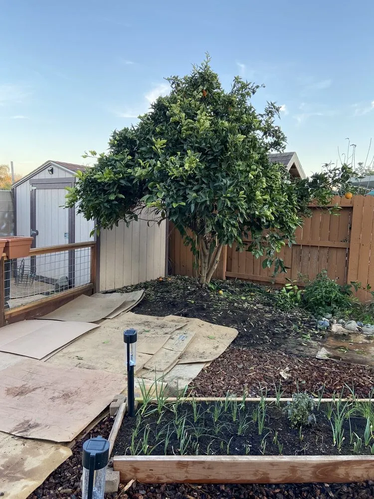 Professional garden landscaping experts serving Manteca, CA - Contreras Landscaping