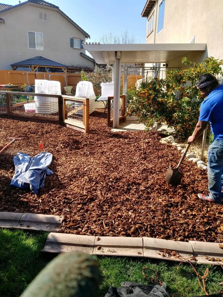 Affordable yard maintenance for residential properties across Manteca, CA - Contreras Landscaping