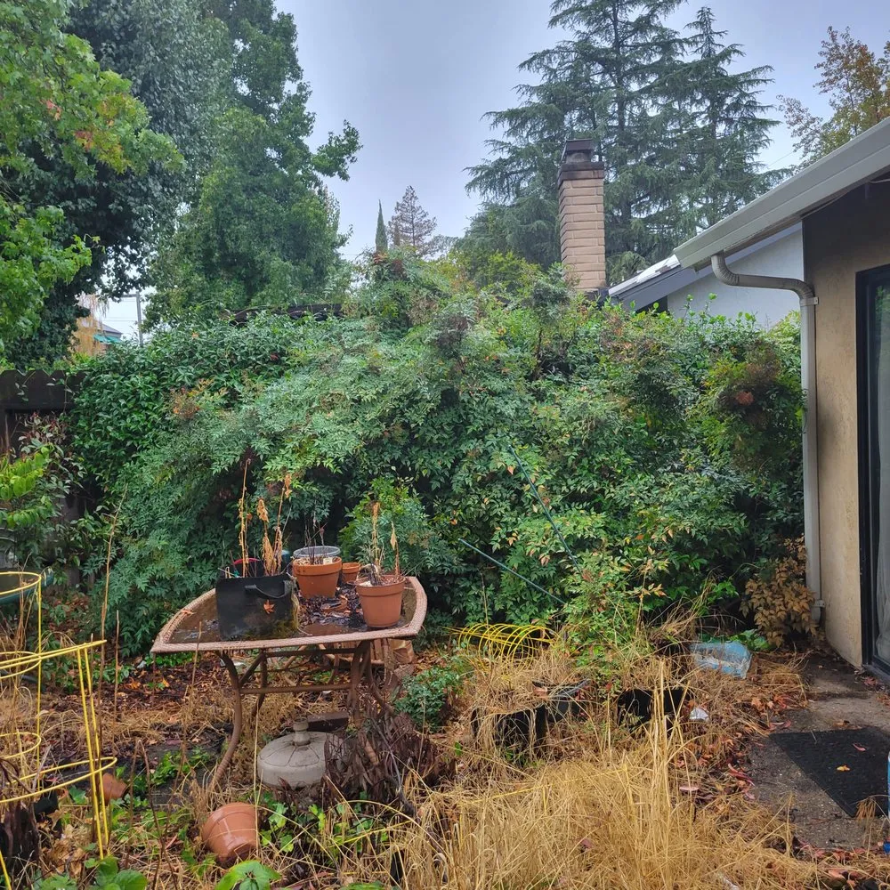 Reliable landscape installation in Manteca, CA - Contreras Landscaping