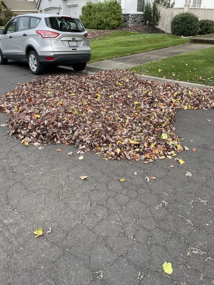 Top-rated landscaping services in Santa Rosa, CA by Contreras Landscaping