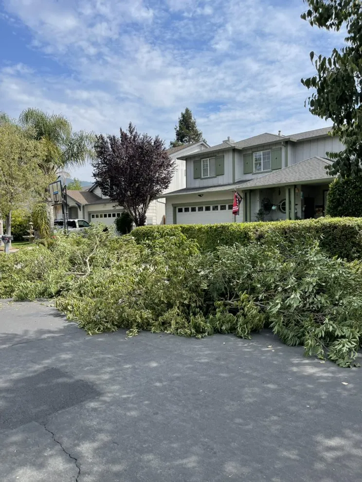 Trusted garden landscaping experts serving Santa Rosa, CA - Contreras Landscaping