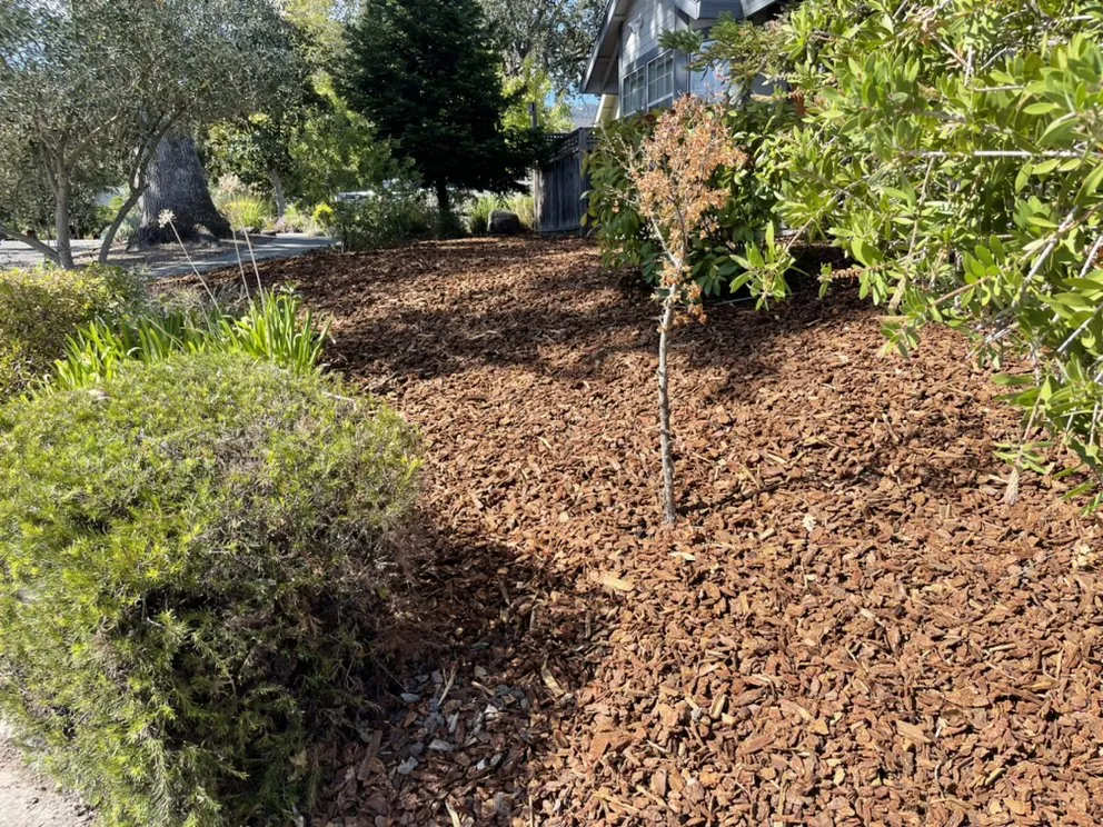 Affordable lawn mowing service for beautiful yards in Santa Rosa, CA by Contreras Landscaping