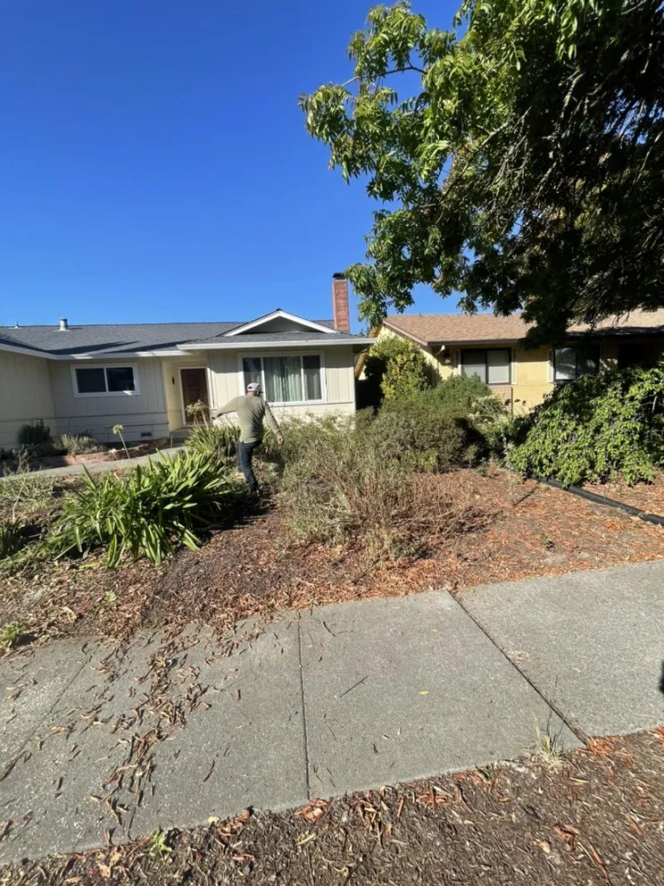 Top-rated landscaping services for year-round maintenance in Santa Rosa, CA by Contreras Landscaping