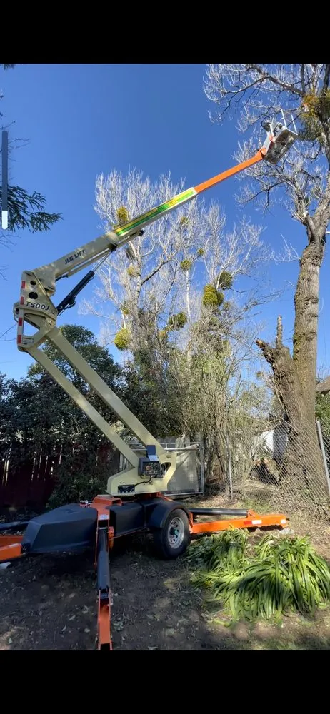 Reliable residential landscaping for residential properties in Santa Rosa, CA by Contreras Landscaping