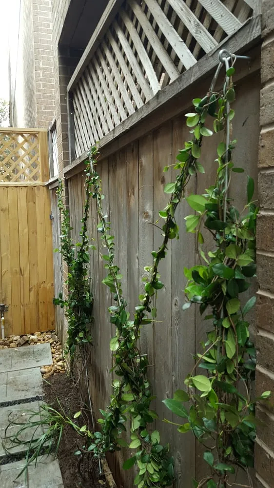 Custom garden landscaping for beautiful yards across Houston, TX - Contreras Lawn & Landscape