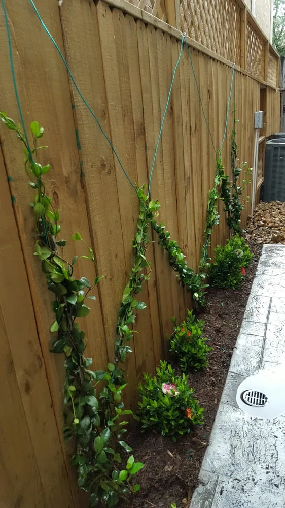 Reliable lawn mowing service in Houston, TX by Contreras Lawn & Landscape