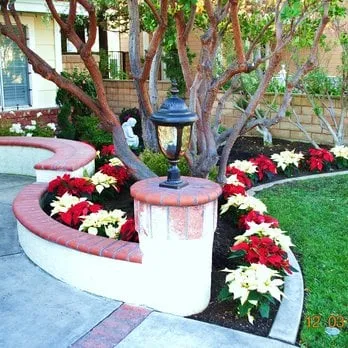 Top-rated yard maintenance with custom design across Houston, TX - Contreras Lawn & Landscape