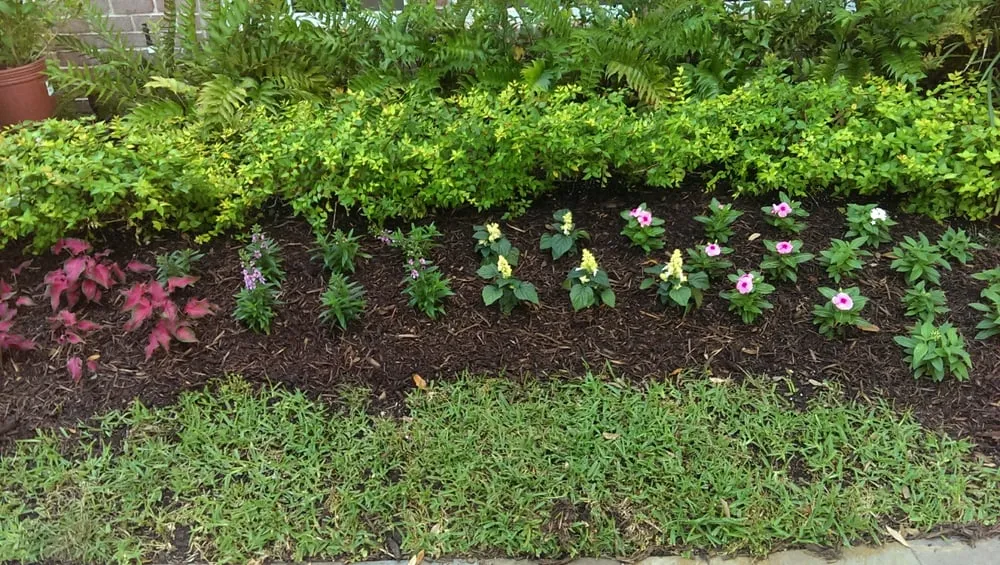 Expert landscape design in Houston, TX by Contreras Lawn & Landscape