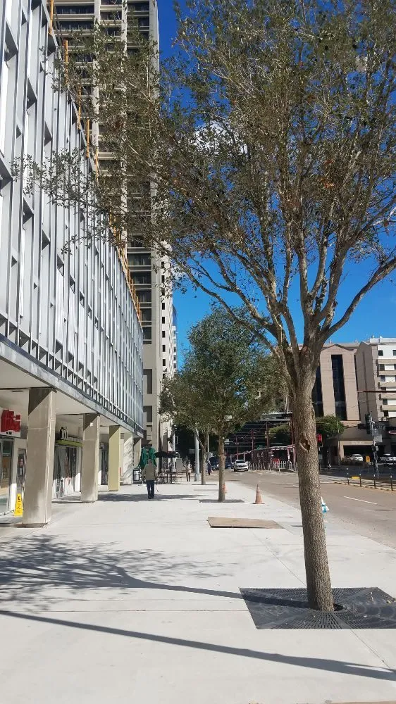 Local landscape design for outdoor upgrades across Houston, TX - Contreras Lawn & Landscape