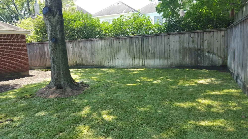 Affordable garden landscaping in Houston, TX by Contreras Lawn & Landscape