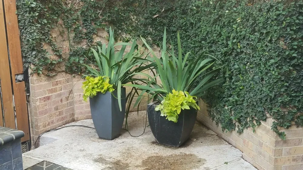 Trusted residential landscaping in Houston, TX by Contreras Lawn & Landscape