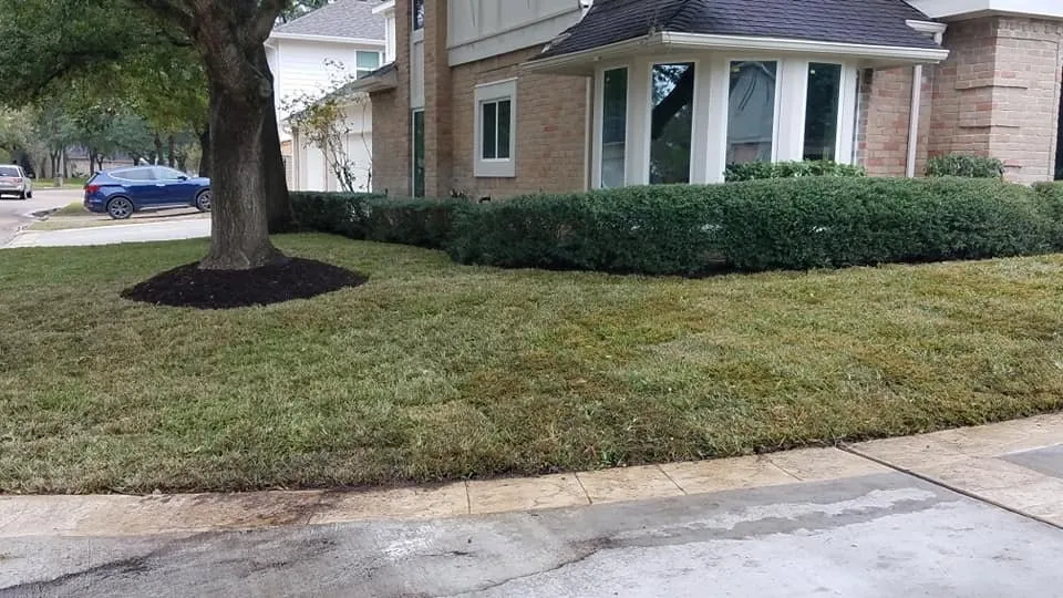 Professional landscape design in Houston, TX - Contreras Lawn & Landscape