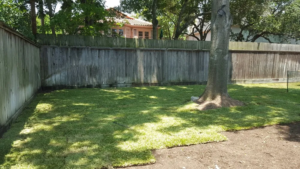 Trusted yard maintenance near you across Houston, TX - Contreras Lawn & Landscape