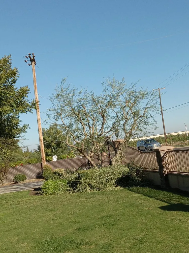 Reliable outdoor landscaping experts serving Fresno, CA - Contreras Lawn Care