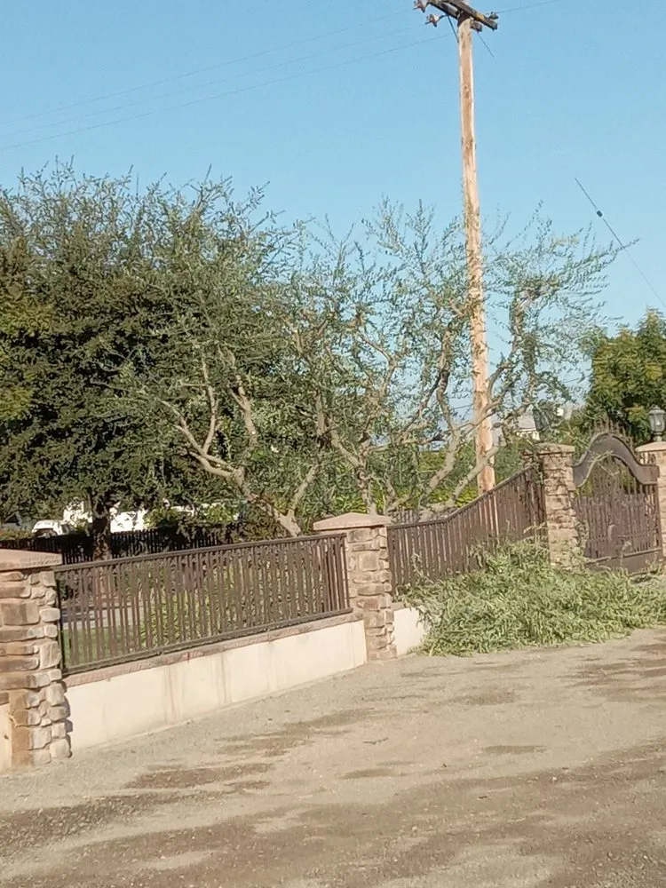 Top-rated outdoor landscaping for homes across Fresno, CA - Contreras Lawn Care