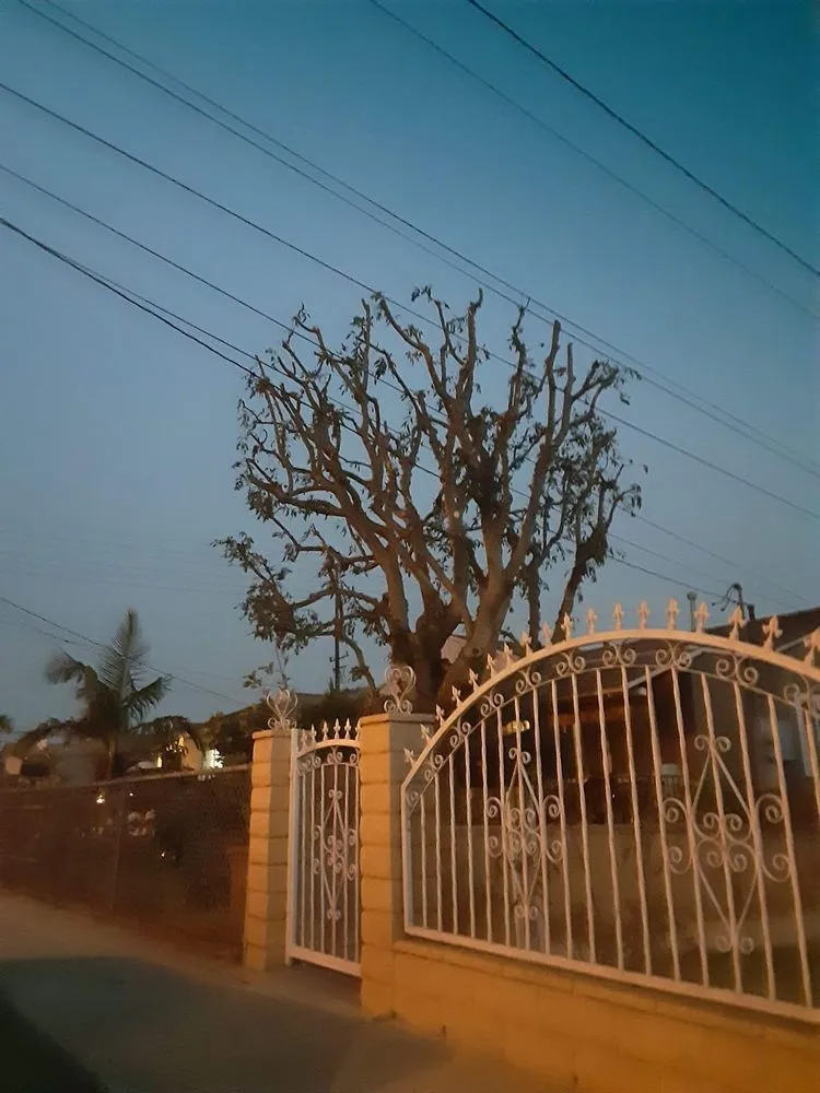 Reliable landscaping services experts serving Fresno, CA - Contreras Lawn Care