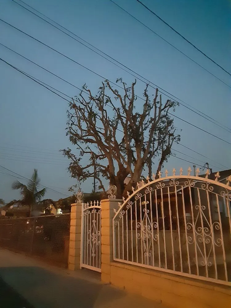 Professional lawn mowing service with custom design in Fresno, CA by Contreras Lawn Care