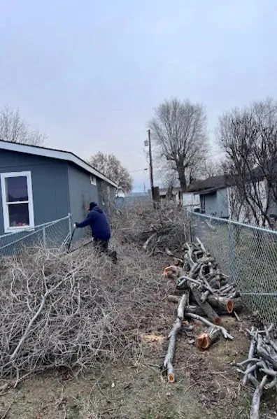 Top-rated garden landscaping in Pasco, WA - Contreras Tree Landscaping