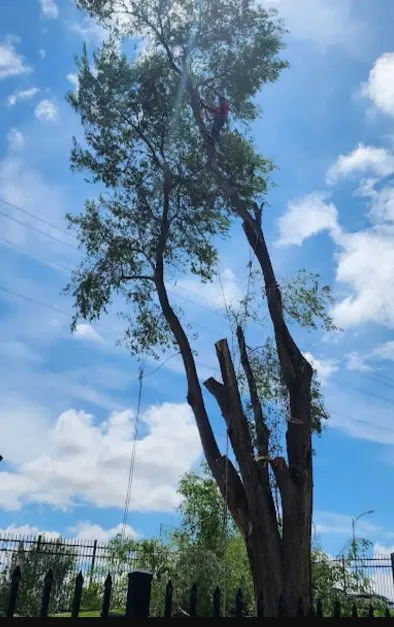 Expert outdoor landscaping in Pasco, WA by Contreras Tree Landscaping