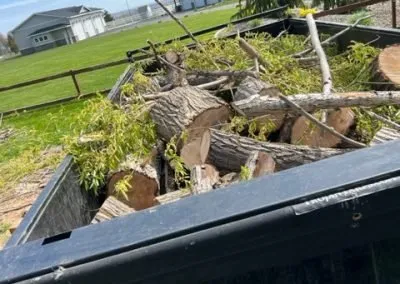 Professional yard maintenance in Pasco, WA - Contreras Tree Landscaping