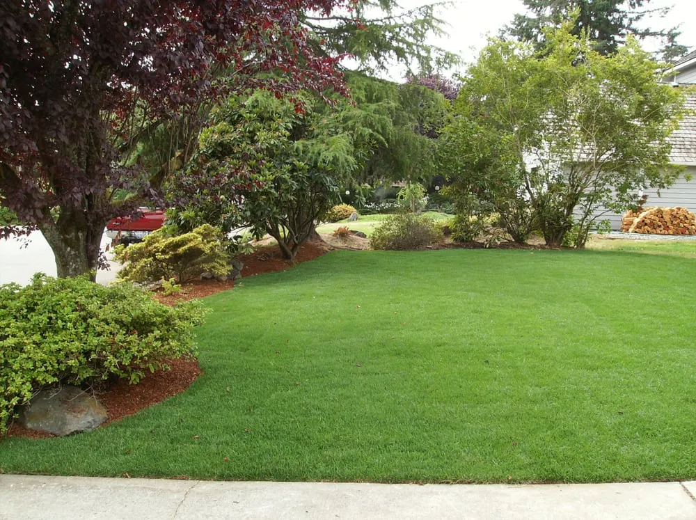 Affordable residential landscaping for outdoor upgrades in Olympia, WA by Controlled Rain