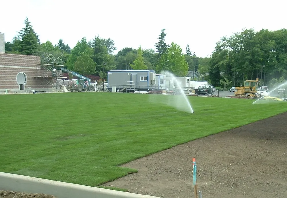 Trusted yard cleanup service in Olympia, WA by Controlled Rain