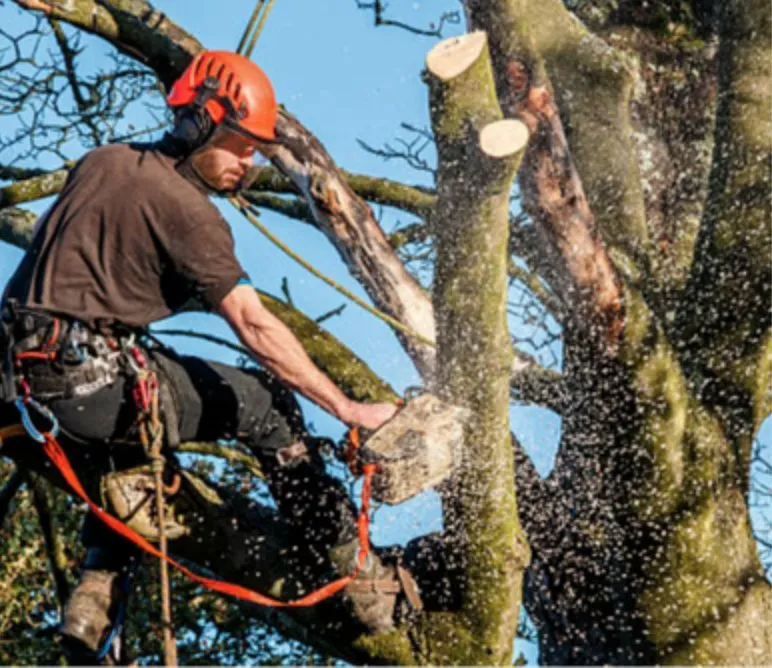 Trusted residential landscaping experts serving Fort Myers, FL - Convenience Landscaping