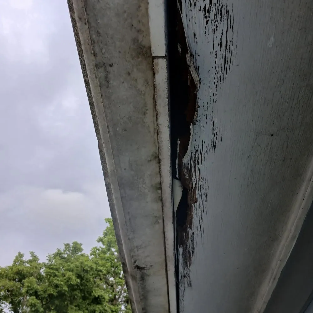 Local lawn mowing service with custom design across Johnson City, TN - Convenient Solutions