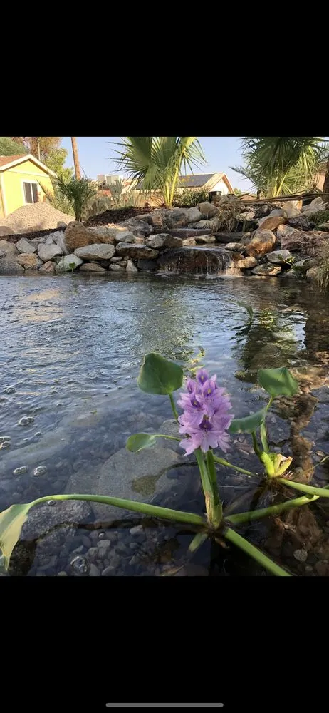 Local outdoor landscaping for residential properties in Eloy, AZ by Conway Aquascape