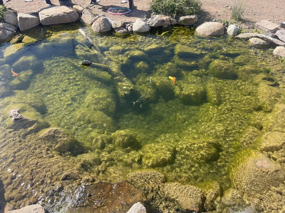 Local landscape installation in Eloy, AZ - Conway Aquascape
