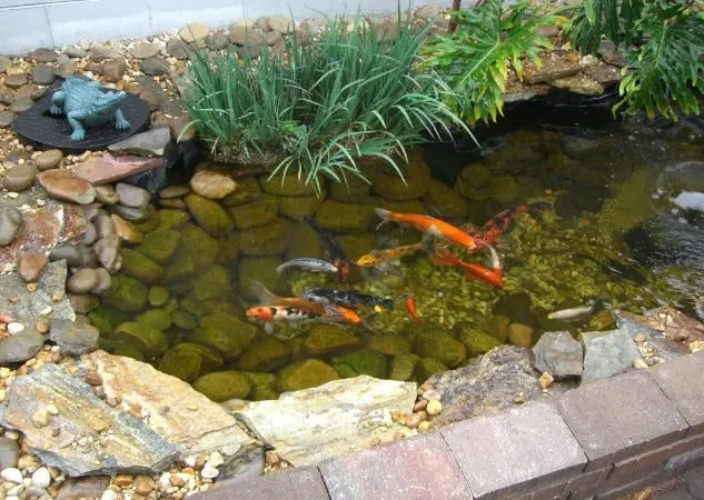 Reliable landscaping services in Orlando, FL by Conway Lawn and Landscape