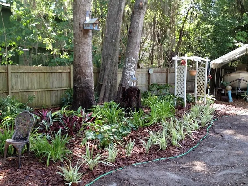 Trusted landscape design for year-round maintenance in Orlando, FL by Conway Lawn and Landscape