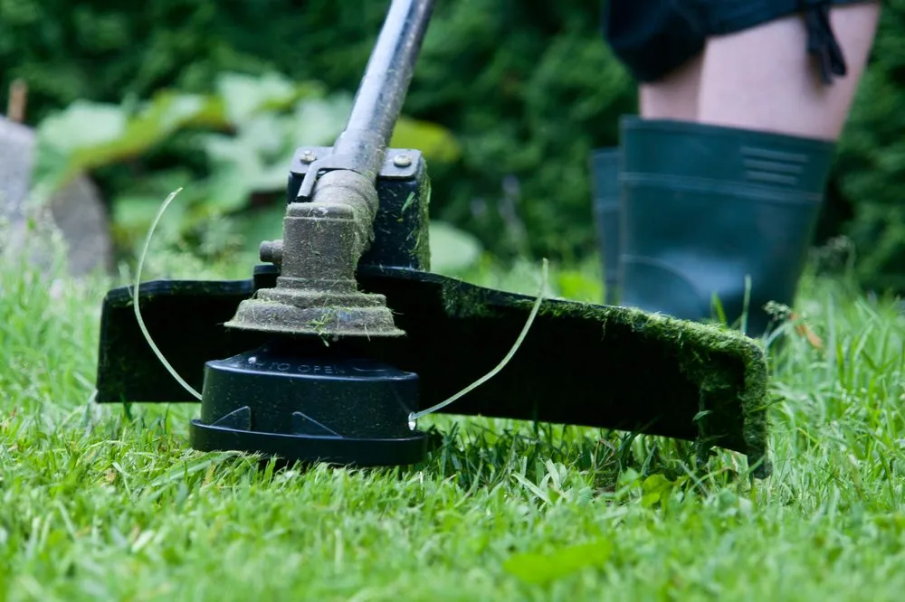 Affordable landscaping services experts serving Conway, SC - Conway Lawn Care Service