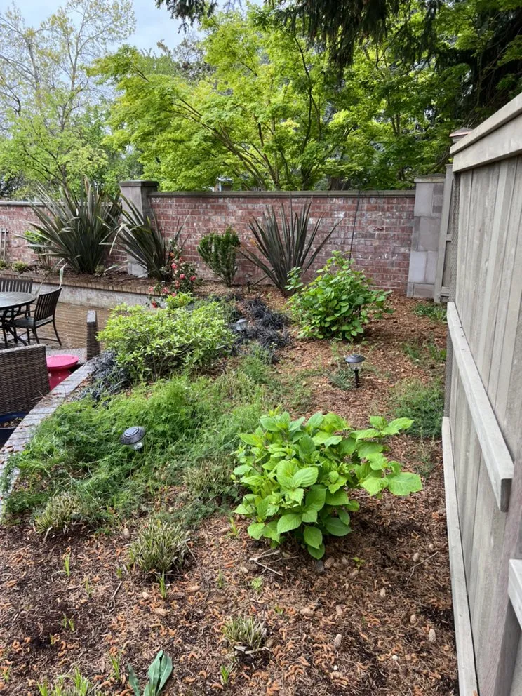 Expert outdoor landscaping experts serving Aurora, OR - Cony's Cleaning Service