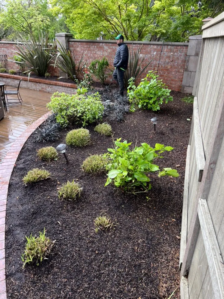 Affordable outdoor landscaping for residential properties across Aurora, OR - Cony's Cleaning Service