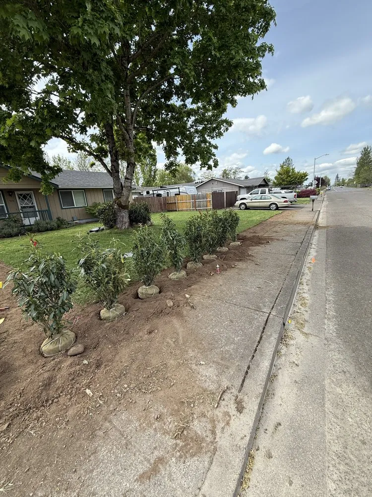 Affordable lawn care service experts serving Aurora, OR - Cony's Landscape Maintenance