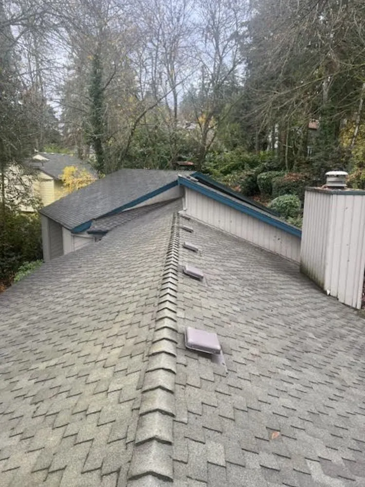 Professional yard maintenance near you across Aurora, OR - Cony's Landscape Maintenance