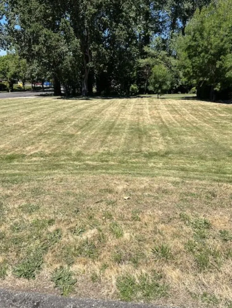 Trusted landscape design in Aurora, OR by Cony's Landscape Maintenance